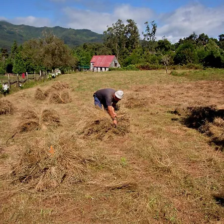 Casa de Férias Quinta Colmeias