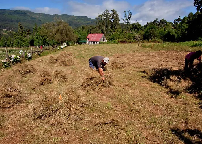 Tatil Evi Quinta Colmeias
